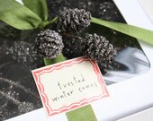Winter Frosted Pinecones - Miniature Pine Cones Crusted with Silver German Glass Glitter - Christmas Holiday Decoration Gift Packaging