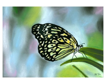 Butterfly Painting, Original Painting, Fly, Butterfly, Pastel, Realism, Girl, Bold, Colorful, Sale, Reduced Price