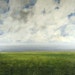 Original Oil Painting CUSTOM Modern Abstract Sky Cloud FIeld LANDSCAPE ART by J Shears