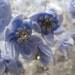 Ribbon Flowers 12 Handmade Blue Satin Ribbon Millinery Flowers With Pearls And Rhinestones