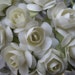 Paper Millinery Flowers 24 Petite Handmade Roses In Ivory