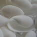 72 Natural Seashells For Your Mosaics And Scrapbooking Projects