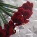 12 Millinery Burgundy Velvet Forget Me Nots Flowers