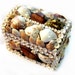 Sailor's Valentine Seashell Art Trinket or Jewelry Box