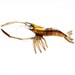 Vintage Brass Shrimp Prawn Crawfish Crayfish Figurine