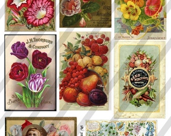 Vintage Flower Seed Packets, Digital Collage Sheet (Sheet no.E7) Instant Download