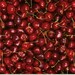 Cherries Farmers Market fabric 1/2 yard