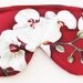 Certified Organic Cotton Sleep Eye Mask- Adjustable