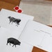 Vintage Pig/Cow Carte Postale