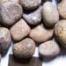 Tumbled stones: 7 tumbled natural Calligraphy/Script Stone, wire wrapping, specimen, supplies