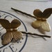 Large Brass Butterflies on Brass Bobby Pins Woodland Nature Springtime