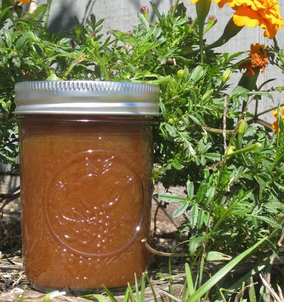 Organic Jam Vanilla Pear Butter Preserves 8 Oz Jar