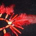 REDUCED Native American Indian Necklace with Exotic Wooden Beads, Red Feathers, Bone, Agate and Turquoise