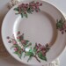 Vintage Lamberton Scammell China - beautiful Mountain Laurel Pattern bread/butter plate-made for the Pocona Manor Inn