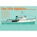 The Life Aquatic with Steve Zissou limited edition large screenprint poster