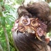 Something brown, unique wearable fiber art floral headband