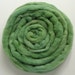 100g Acid Dyed Falkland Wool Top - Willow