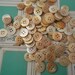 Vintage Mother of Pearl MOP antique BUTTONS new old stock 90 buttons 1/2" golden