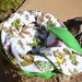 Snooze Sack for Cats - Paisley Birds