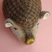 Wee Hedgehog - Fancy Green Bean