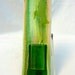 Glass Wall Pocket Vase