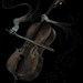 A Cello 11 x 14- Drawn with Math and Science