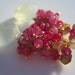 Rasberry Fields - Pink Sapphire