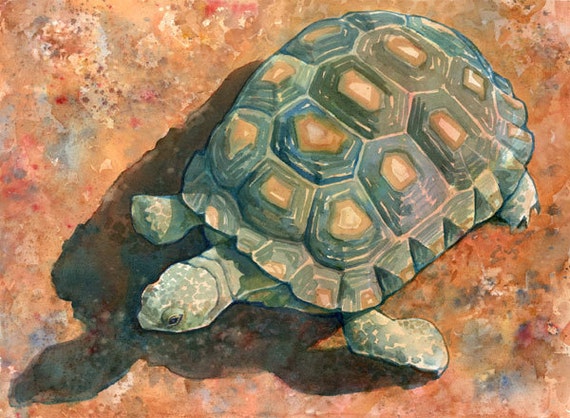 Items similar to Desert Tortoise Watercolor Art Print... Southwest ...