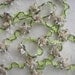 Beige Tan White Grosgrain Ribbon Fabric Flower Trim Scrapbook Baby Dress Doll Quilt Embellishment