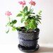 Blue Stoneware Planter with Carved Decoration for Houseplants,Succulents and Cactus