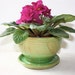 Indoor Ceramic Planter with Green Glaze and Surface Carving