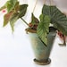 Hanging Stoneware Planter Eight Inches Tall in Cerulean Blue