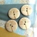 Wood Wooden Buttons - Large Nature Tree Wooden Buttons Set - 4's LAST SET