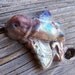 Pre-Columbian Insectus Invictus...Raku Pendant