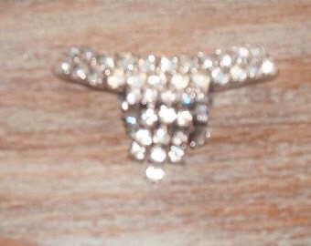 Vintage Rhinestone Rhinestones Clip On