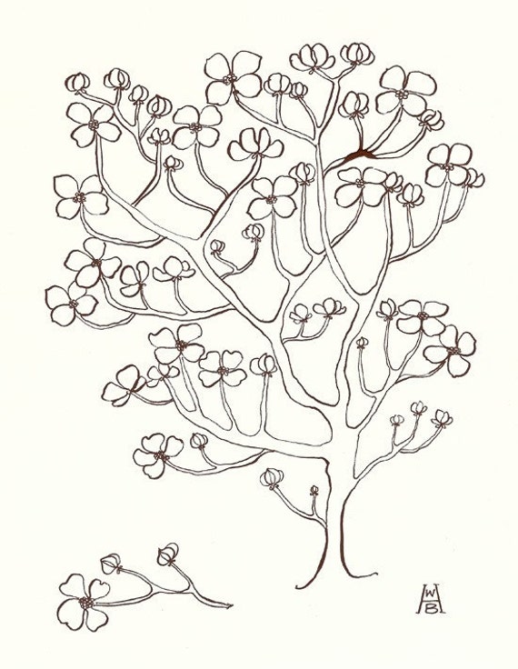 Dogwood Tree No. 3 original ink drawing