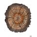 Log No. 45 original watercolor painting