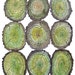 Giant Log Heap large original watercolor painting