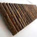 Rustic Wall Art -- Study in Willow