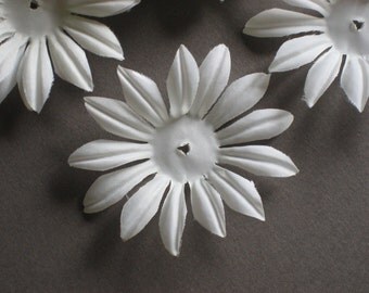 White Daisy Flower Petals (36)