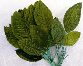 Vintage Green Velvet Rose Leaves Small (6)