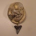 shell shark tooth