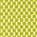 Amy Butler Lotus fabric Lime Full Moon Dot 1 yard