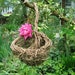 Hanging Rosemary for Remembrance Rustic Flower Girl Wicker Basket Ready To Ship Ivy H