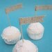 Cup Cake Topper, Natural Burlap, Cupcake flag, set of 12, G162- shabby chic wedding decorations