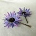 Fun Purple Aster Flower Bobby Pins