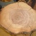 Au Natural' Bark edge Oak Log Slice for Wedding Cake stand