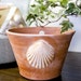 Terra cotta shell planter