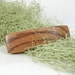 Tiny Zebra Wood Hair Clip, wooden hair accessory, natural hair barrette, reclaimed wood jewelry