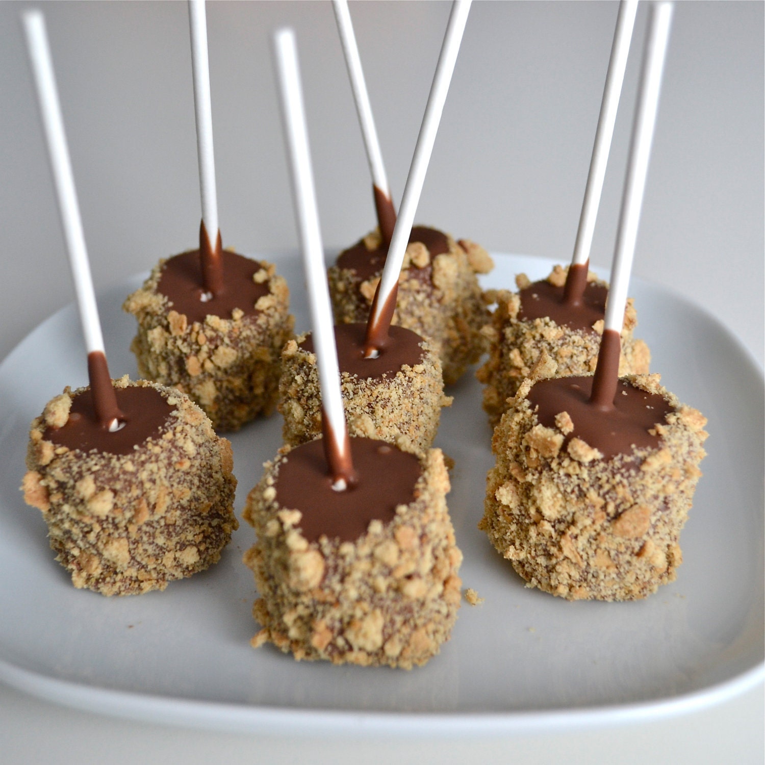 Chocolate Marshmallow Graham S'mores 2 Dozen